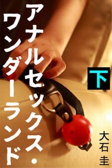 アナルセックス・ワンダーランド