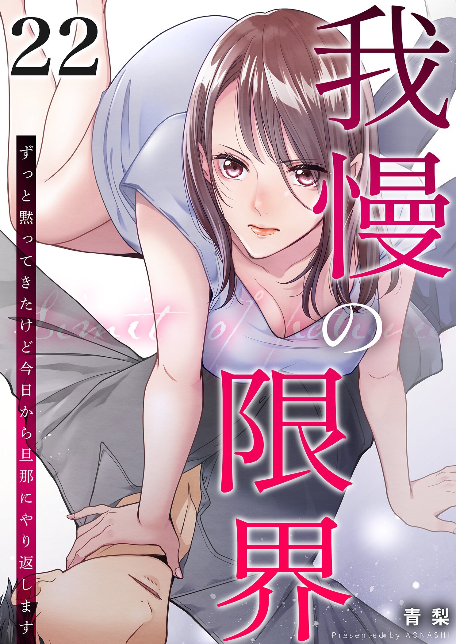 我慢の限界～ずっと黙ってきたけど今日から旦那にやり返します～ 22