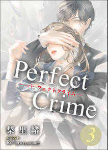Perfect Crime　3
