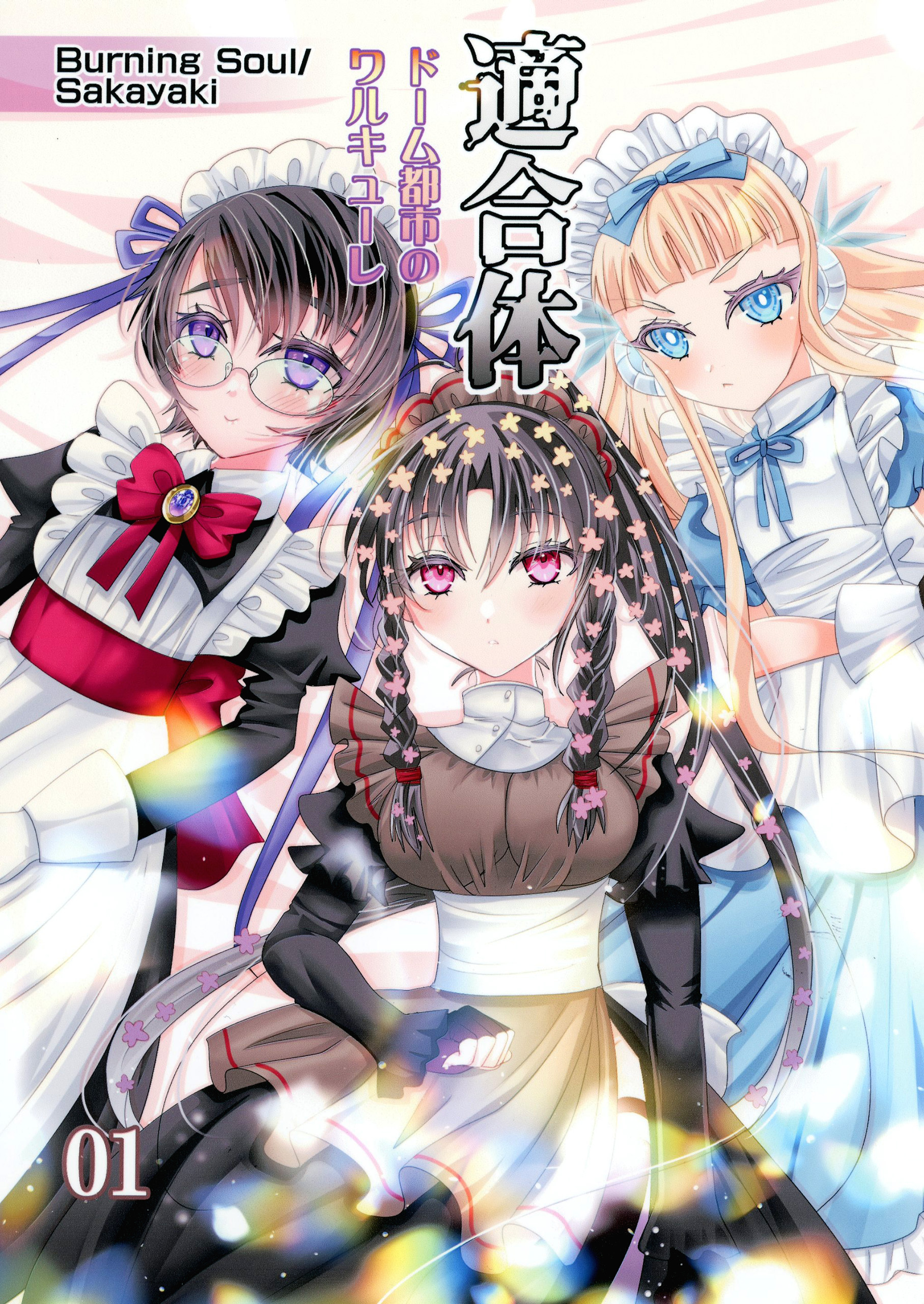 適合体