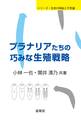 プラナリアたちの巧みな生殖戦略