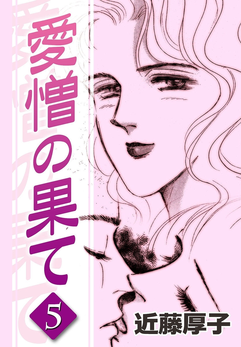 愛憎の果て　（5）