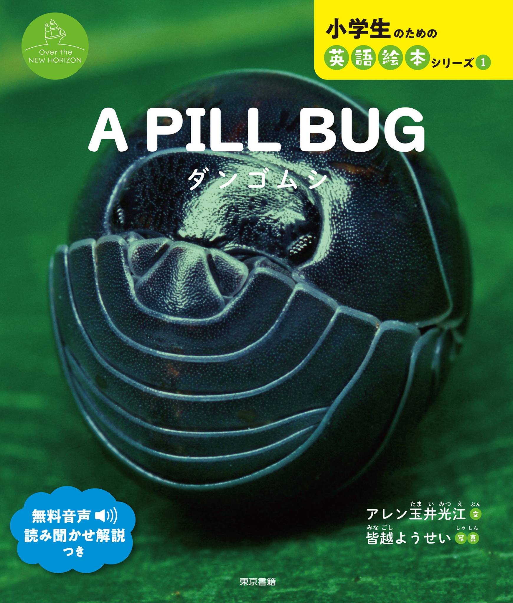 A PILL BUG　ダンゴムシ