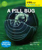 A PILL BUG ダンゴムシ