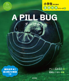 A PILL BUG ダンゴムシ