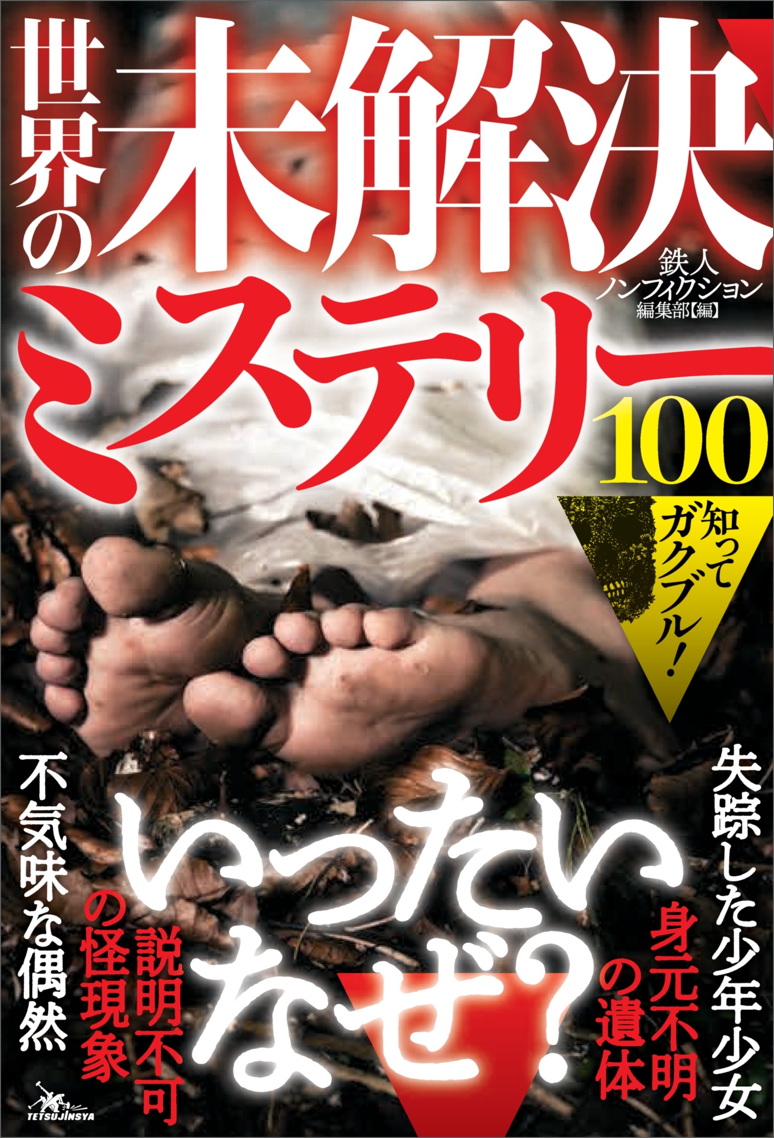 知ってガクブル！世界の未解決ミステリー１００――「説明不可の怪現象」「不気味な偶然」「見元不明の遺体」
