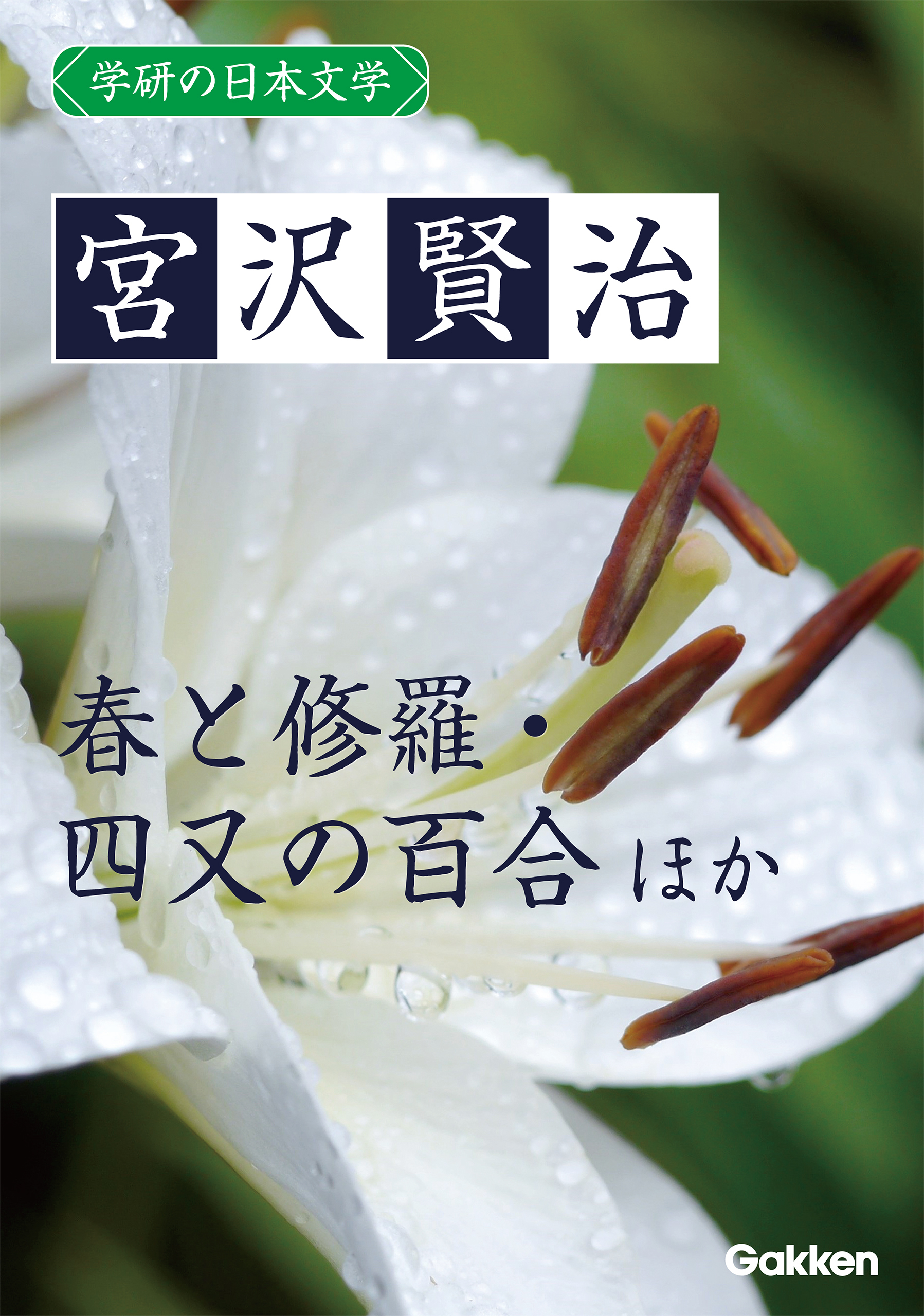学研の日本文学 宮沢賢治 春と修羅 四又の百合 インドラの網 雁の童子 北守将軍と三人兄弟の医者
