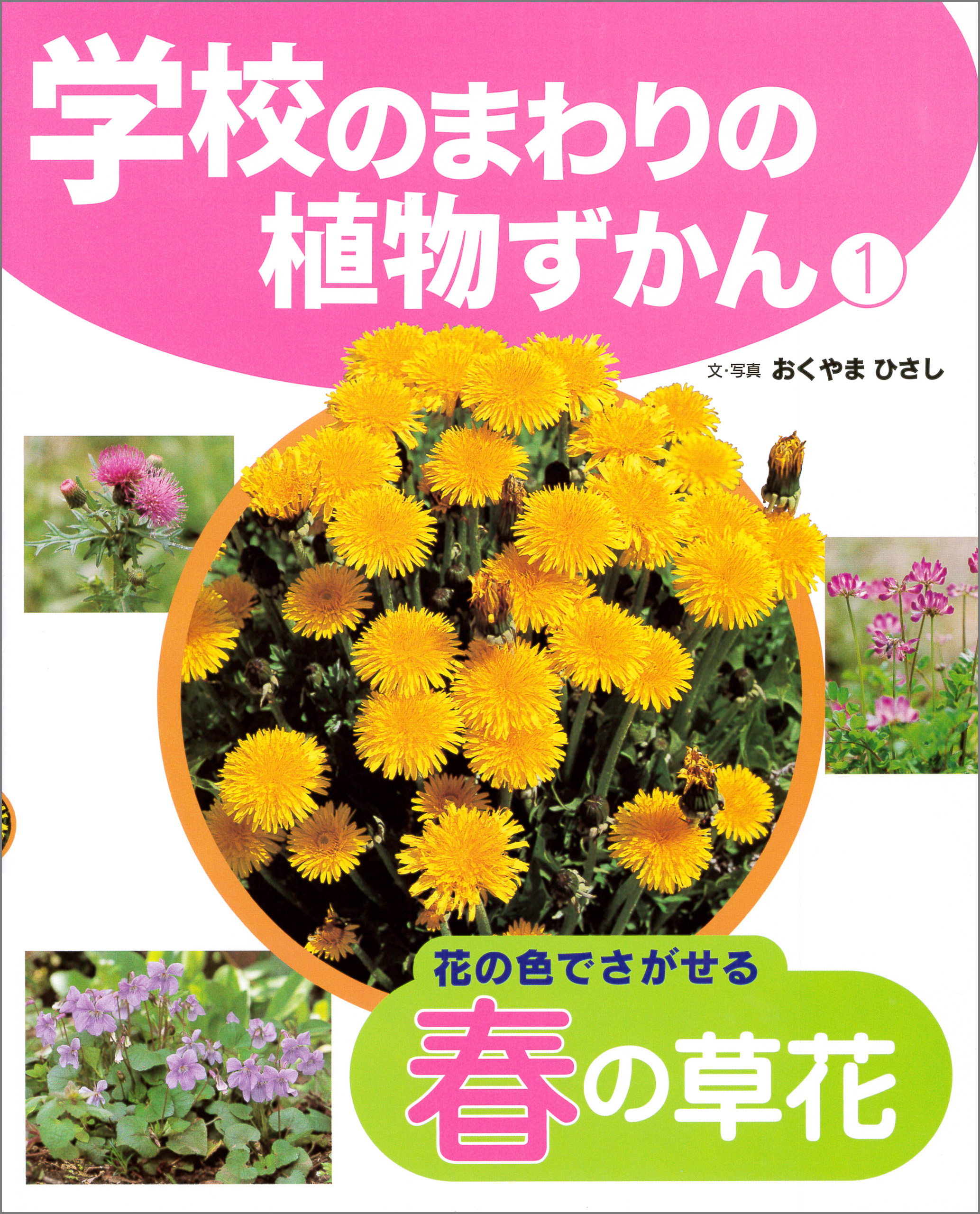 花の色でさがせる春の草花１　学校のまわりの植物ずかん