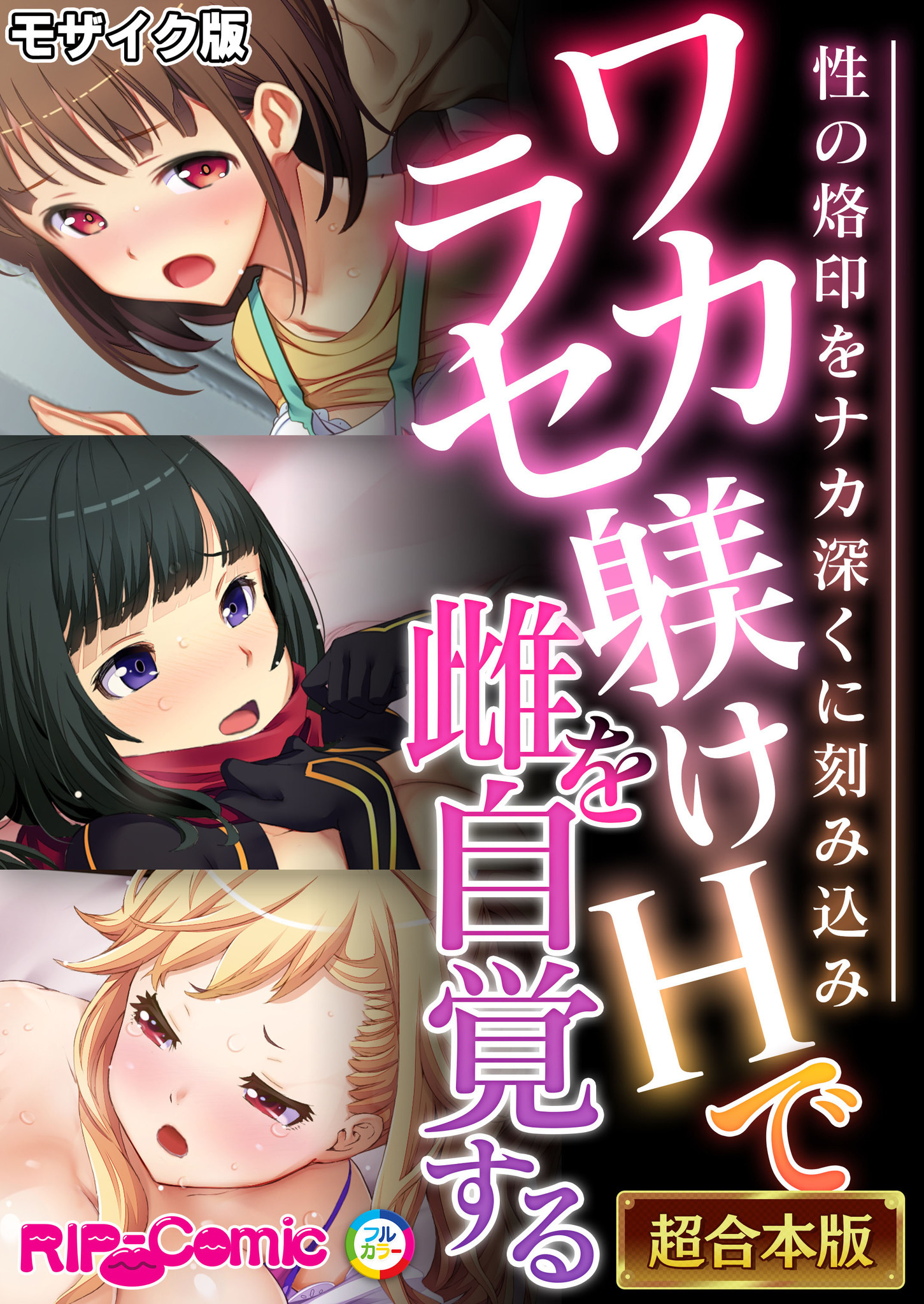 ワカラセ躾けHで雌を自覚する ～性の烙印をナカ深くに刻み込み～【超合本シリーズ】 モザイク版