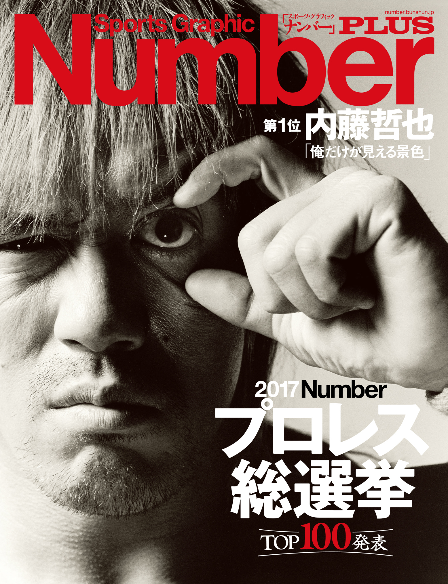 Number PLUS プロレス総選挙2017 (Sports Graphic Number PLUS(スポーツ・グラフィック ナンバー プラス))