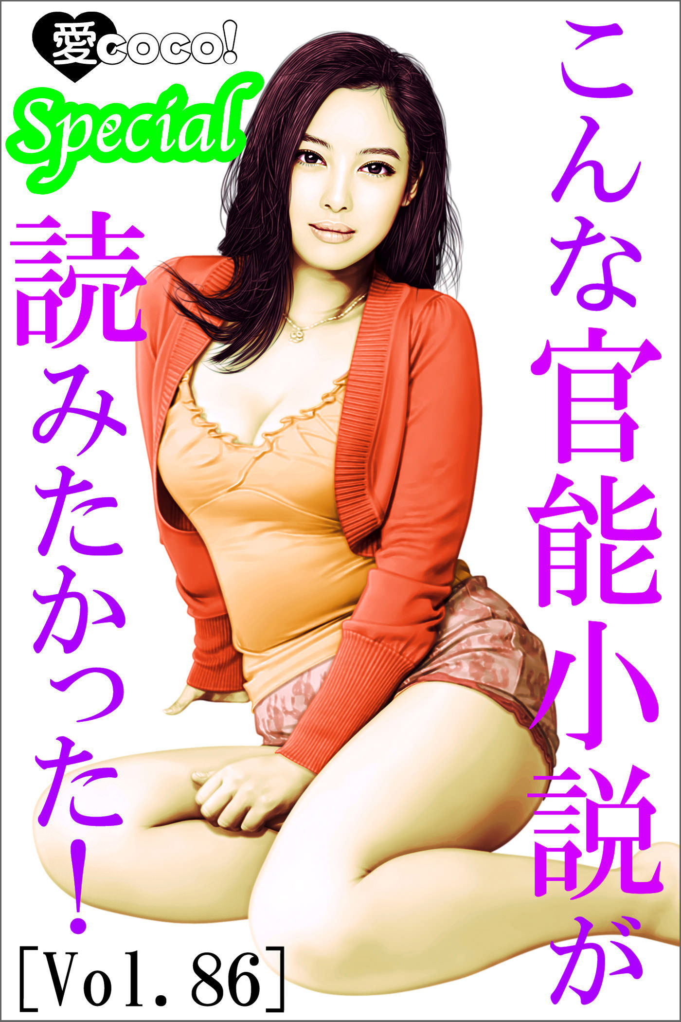 こんな官能小説が読みたかった！vol.86