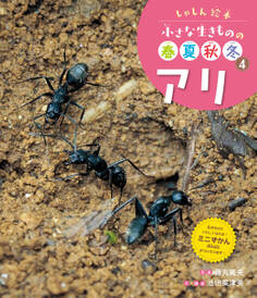 アリ4 しゃしん絵本 小さな生きものの春夏秋冬