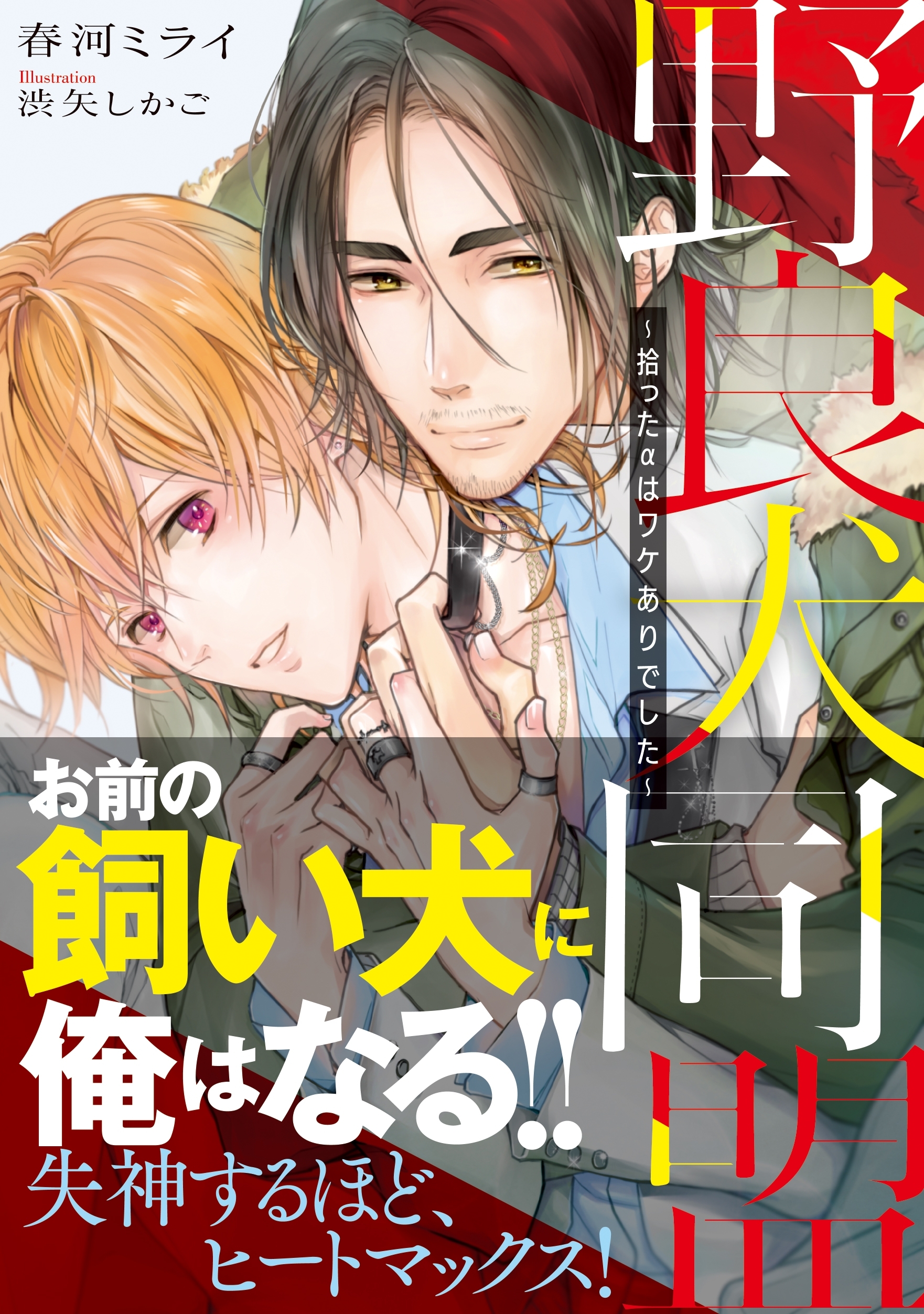 野良犬同盟　～拾ったαはワケありでした～