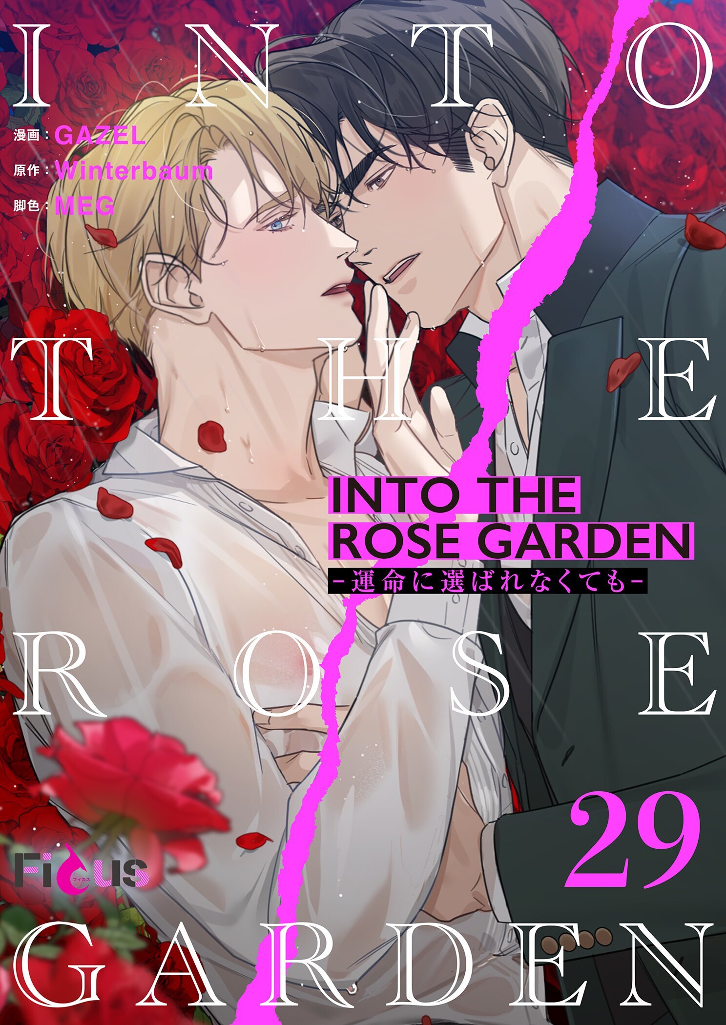 INTO THE ROSE GARDEN ‐運命に選ばれなくても‐（フルカラー）