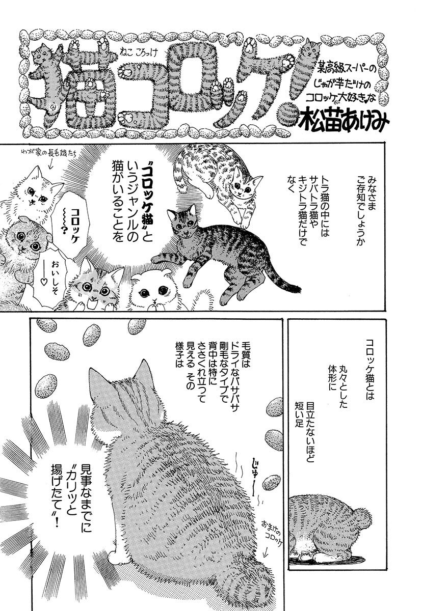 10話無料]猫もえ！の全エピソード一覧(全13話)|松苗あけみ|無料連載