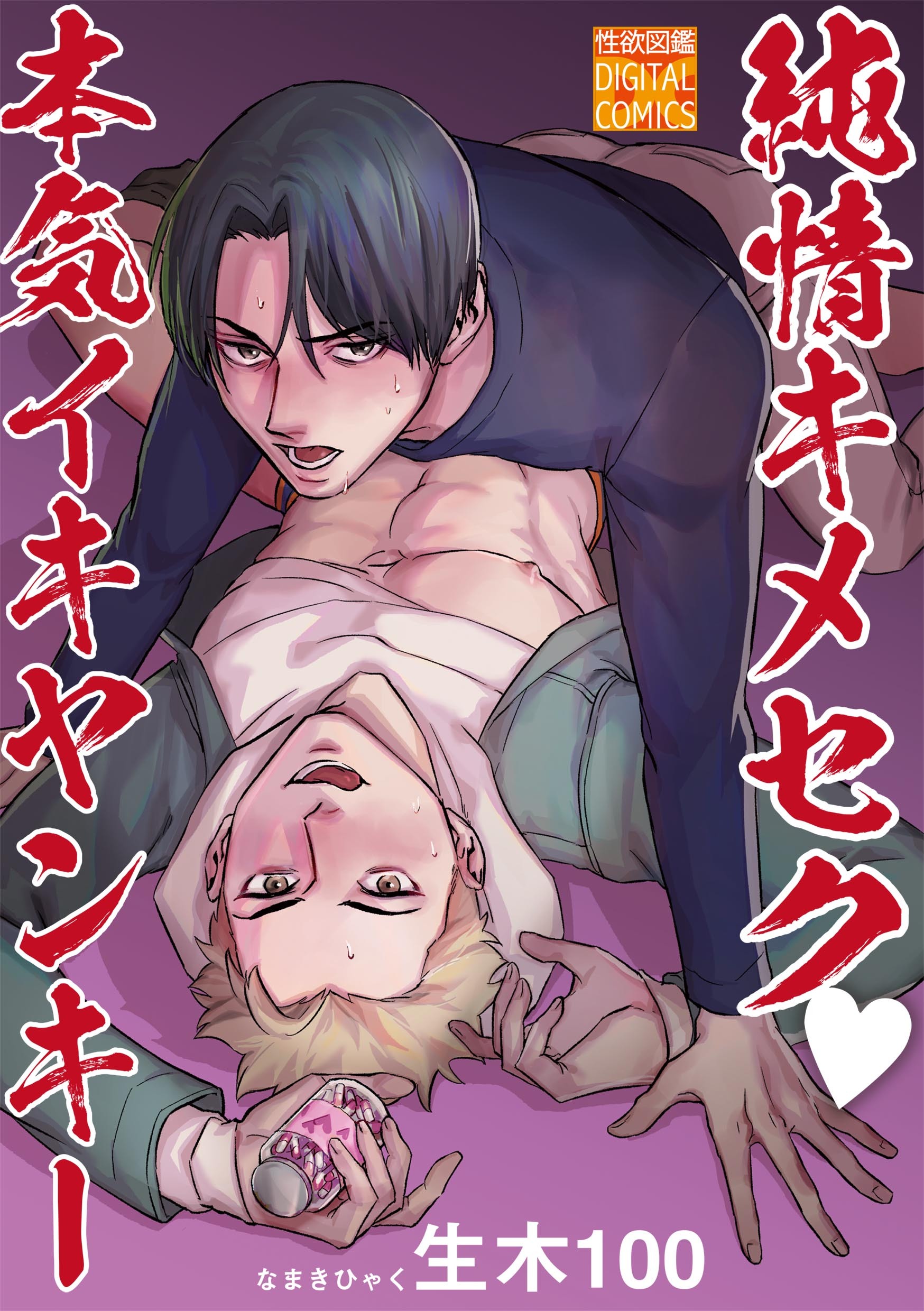 純情キメセク本気イキヤンキー