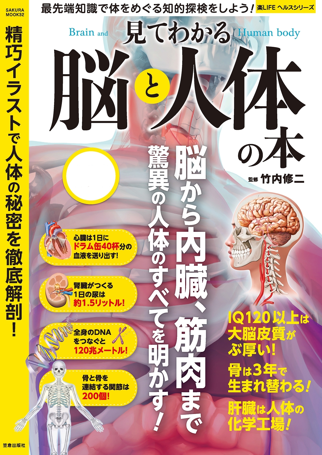 見てわかる脳と人体の本