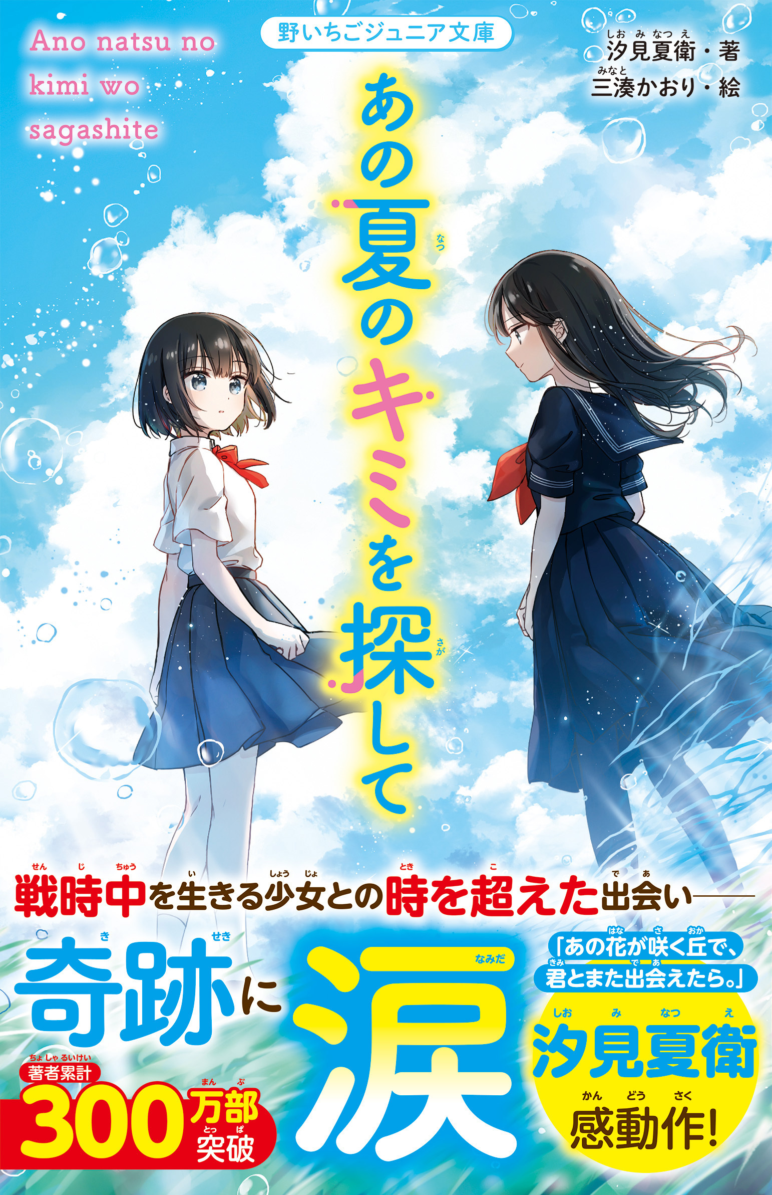 あの夏のキミを探して