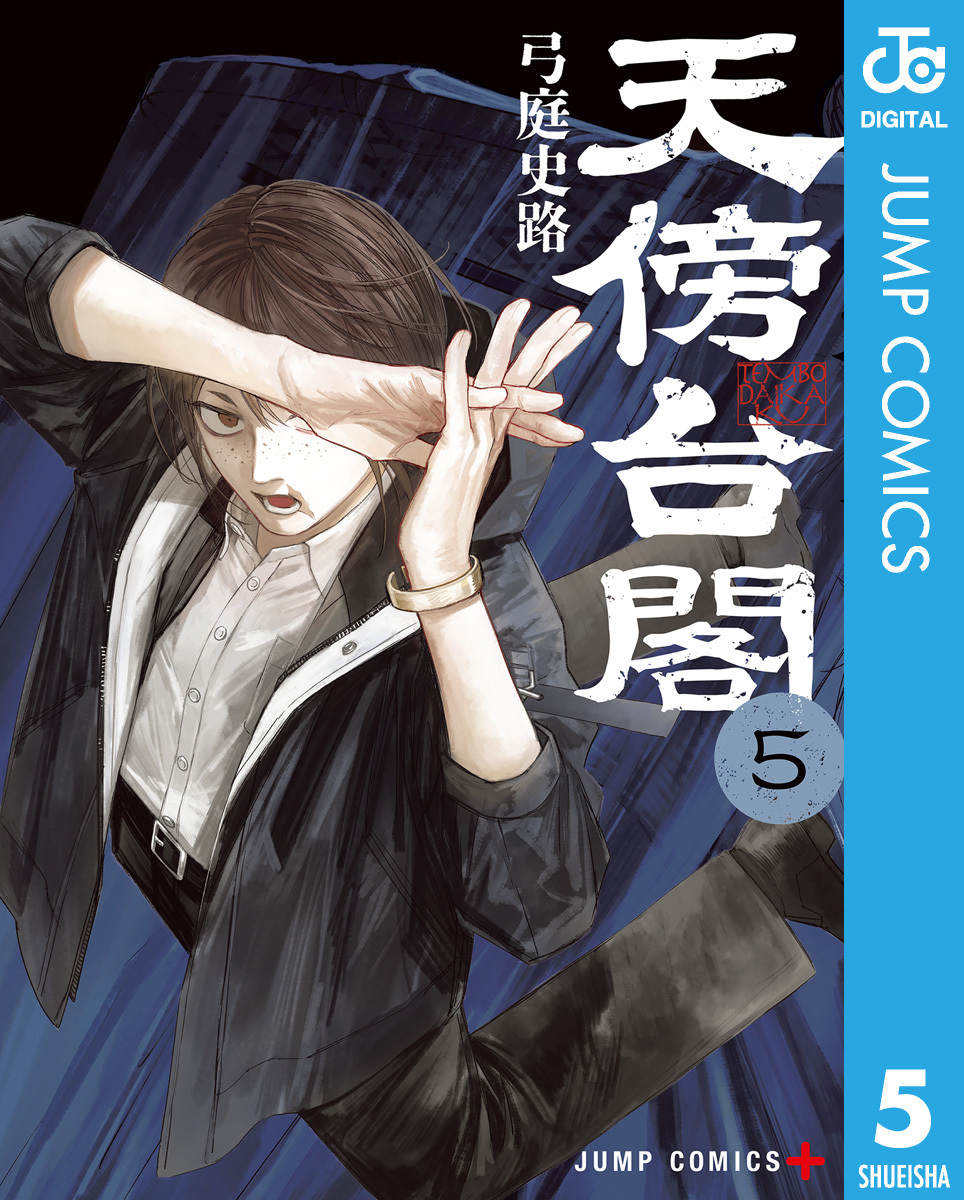 天傍台閣