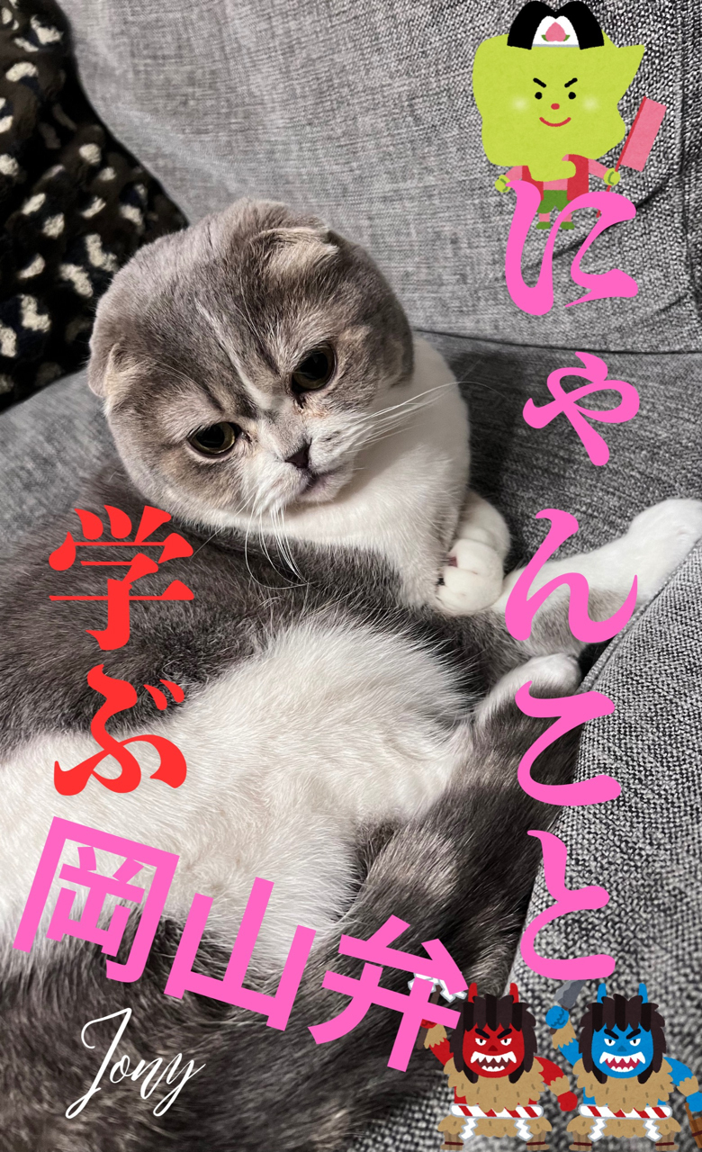 にゃんこと学ぶ岡山弁