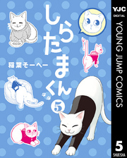 しらたまくん 5