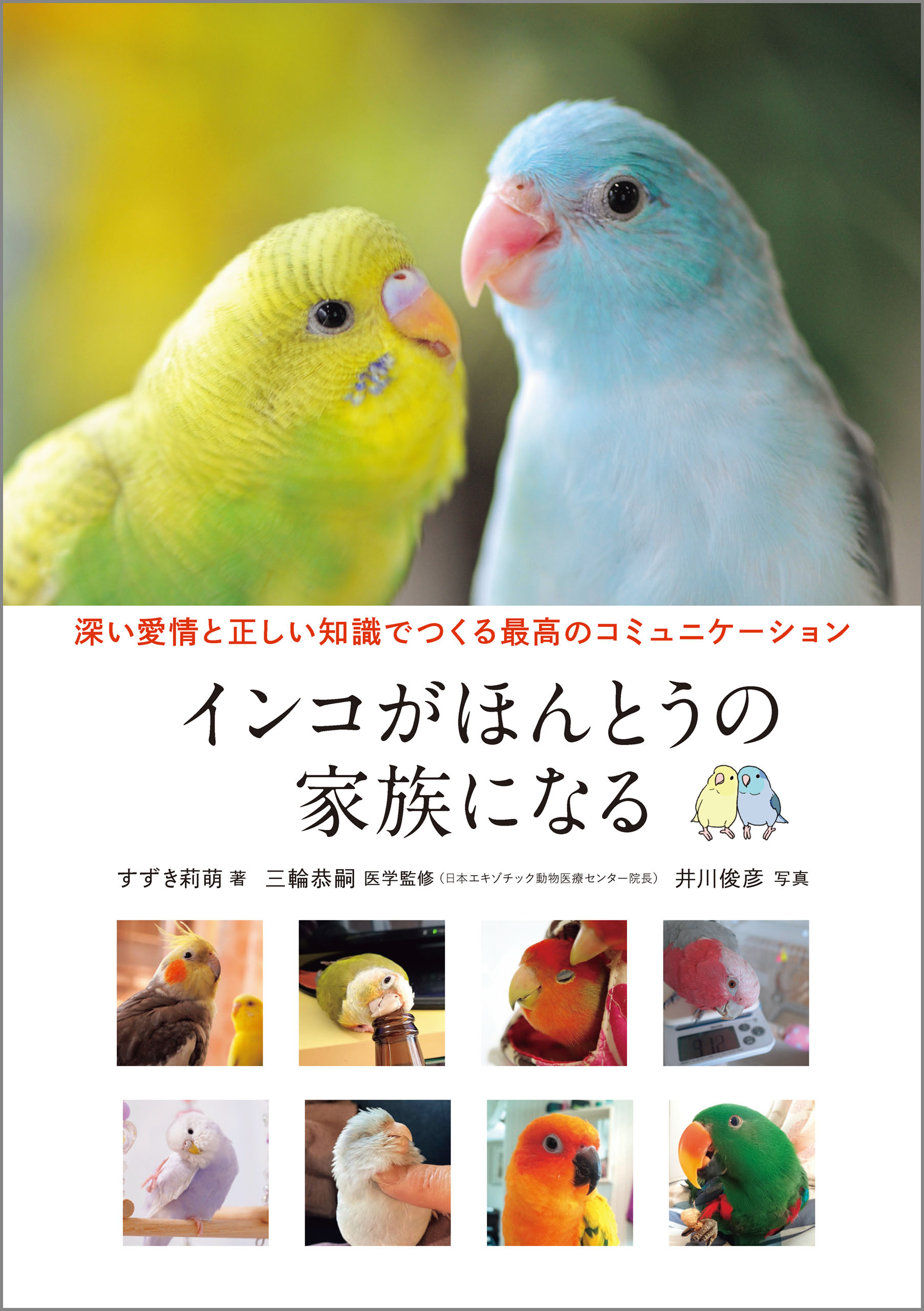 インコがほんとうの家族になる