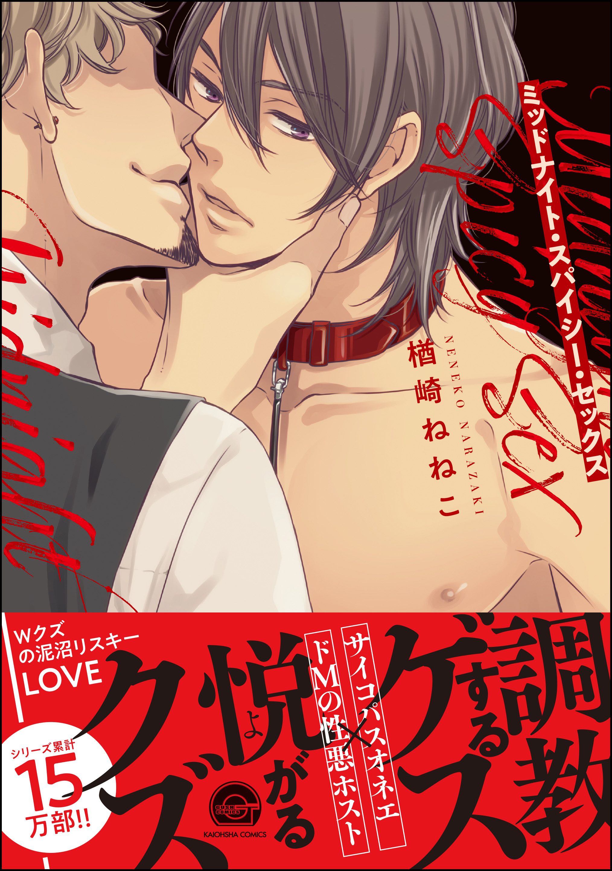 ミッドナイト・スパイシー・セックス【電子限定かきおろし漫画付】