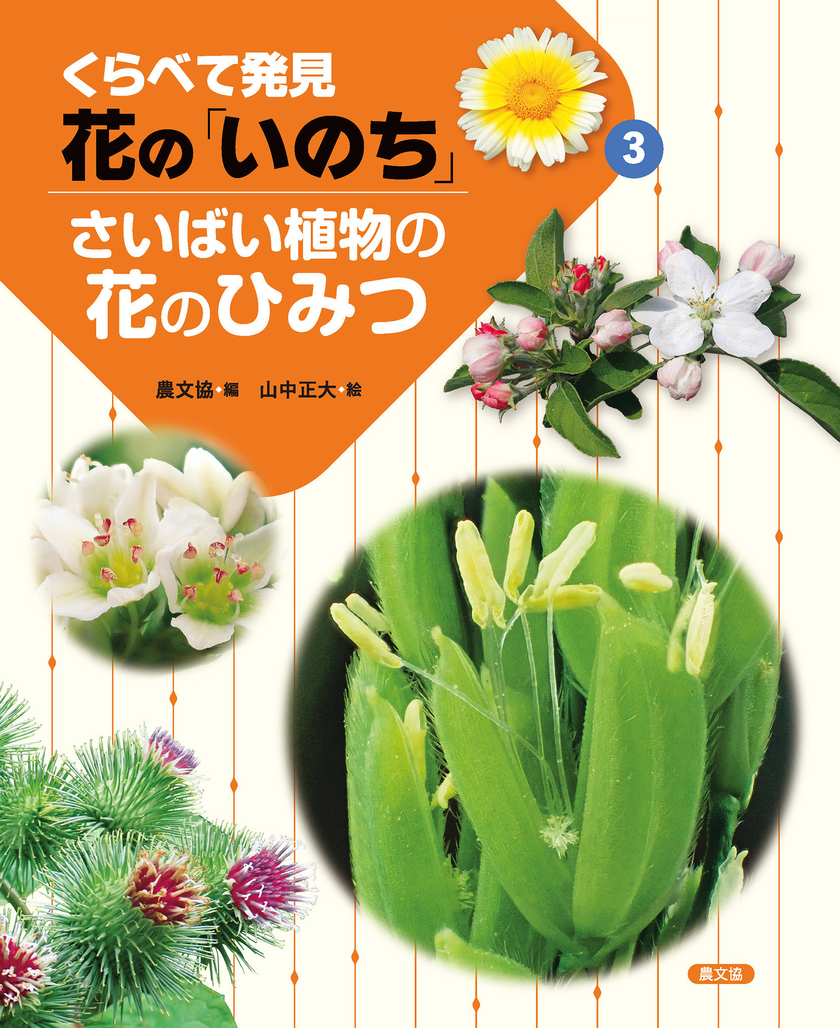 さいばい植物の花のひみつ