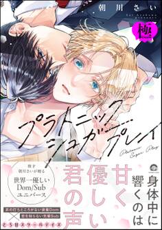 プラトニックシュガープレイ【極】