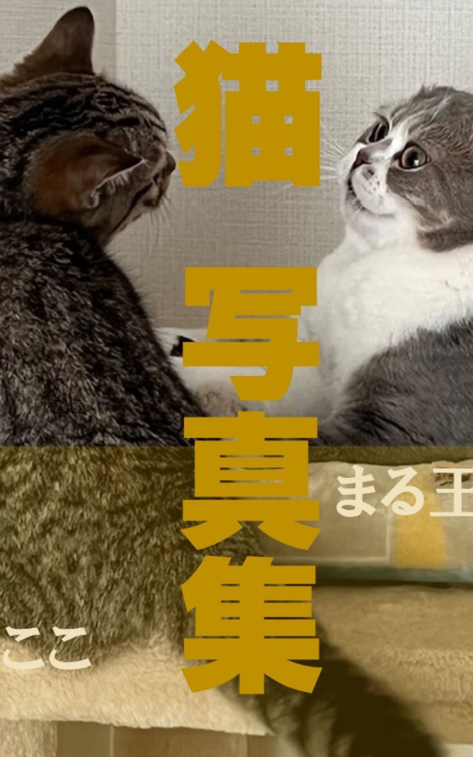 猫写真集（1）