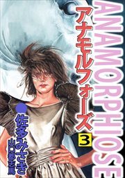 アナモルフォーズ3