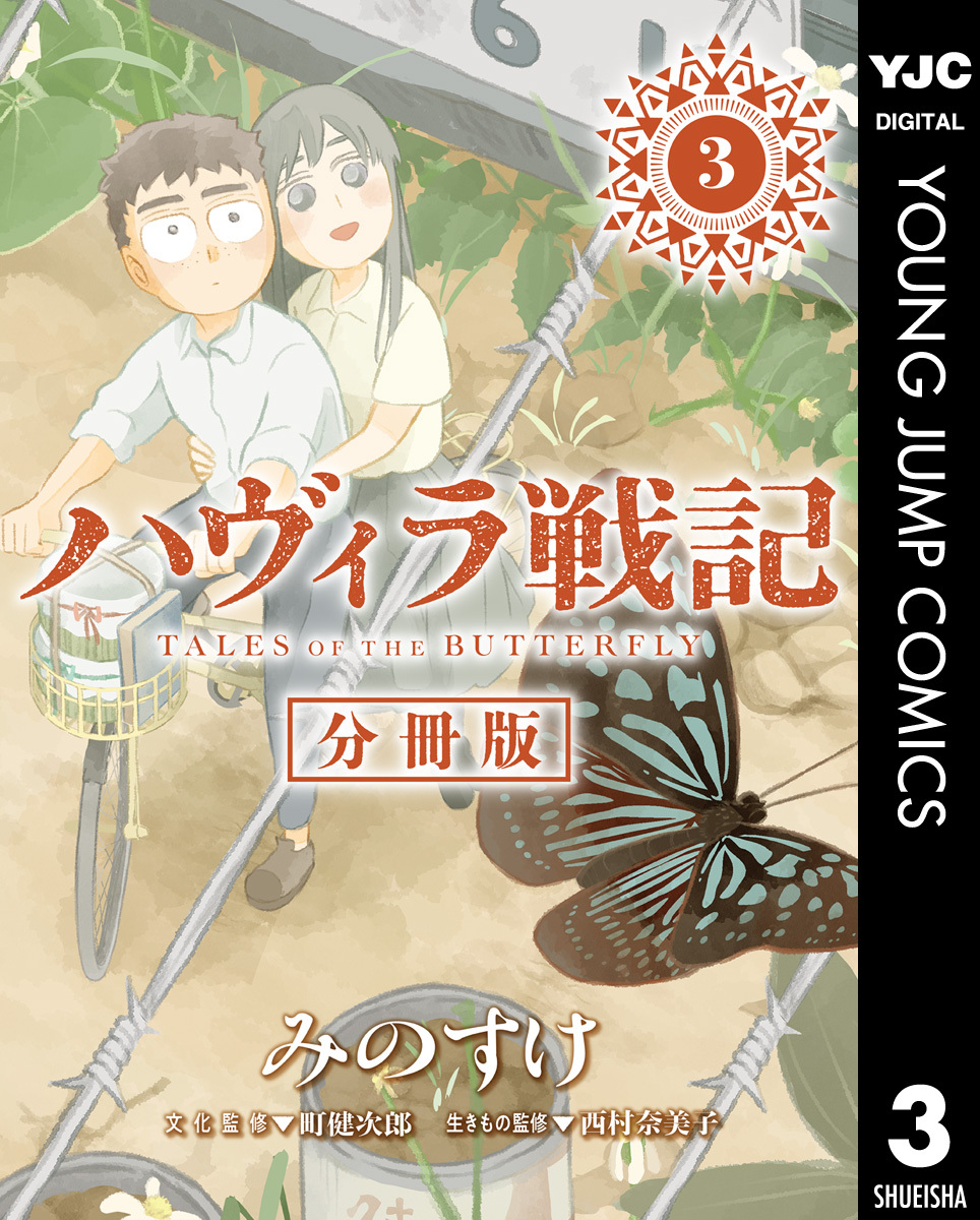 ハヴィラ戦記 第3話