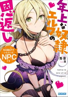 先日助けていただいたNPCです~年上な奴隷エルフの恩返し~