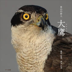 里山の狩人 大鷹