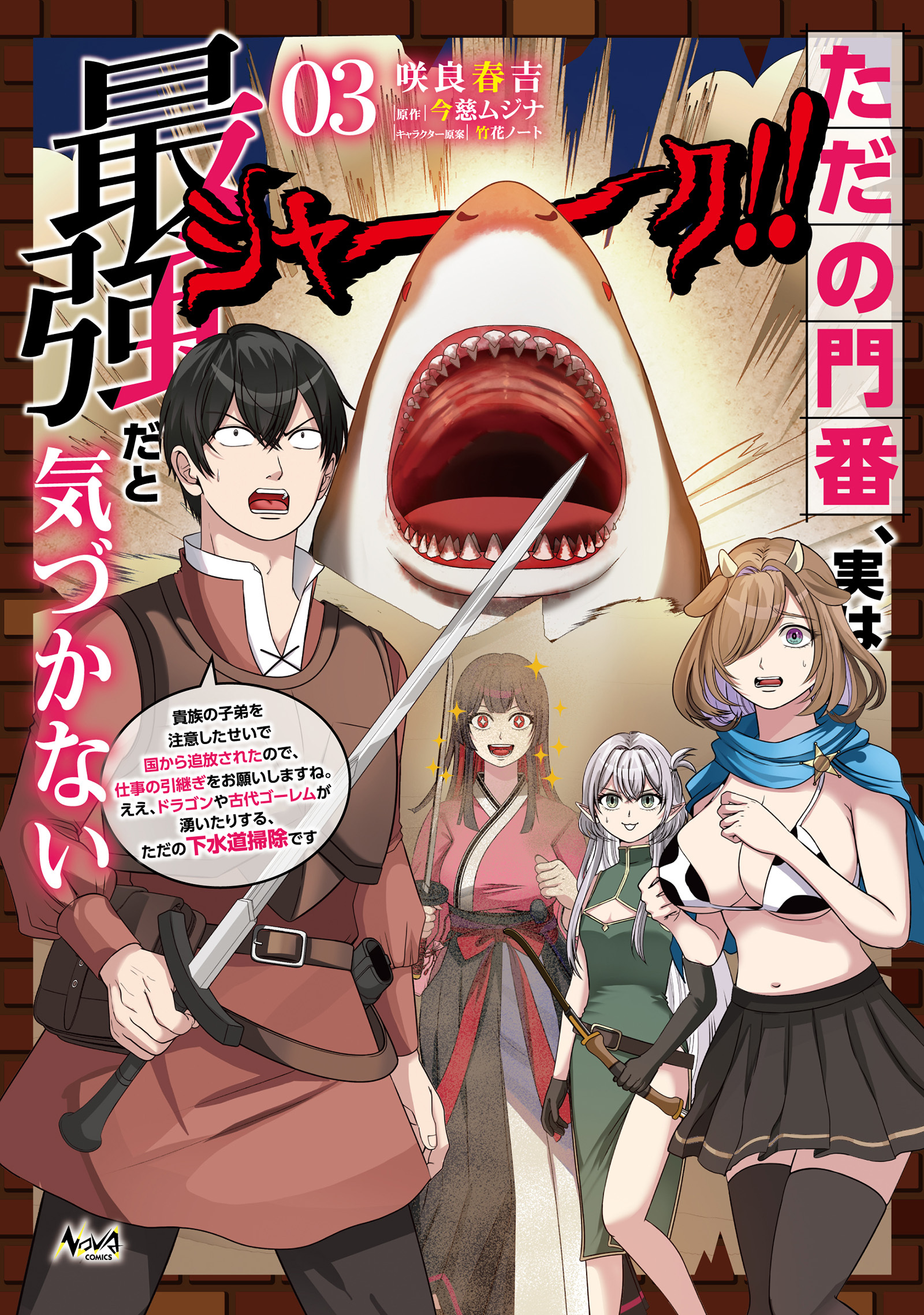 ただの門番、実は最強だと気づかない～貴族の子弟を注意したせいで国から追放されたので、仕事の引継ぎをお願いしますね。ええ、ドラゴンや古代ゴーレムが湧いたりする、ただの下水道掃除です～（ノヴァコミックス）３