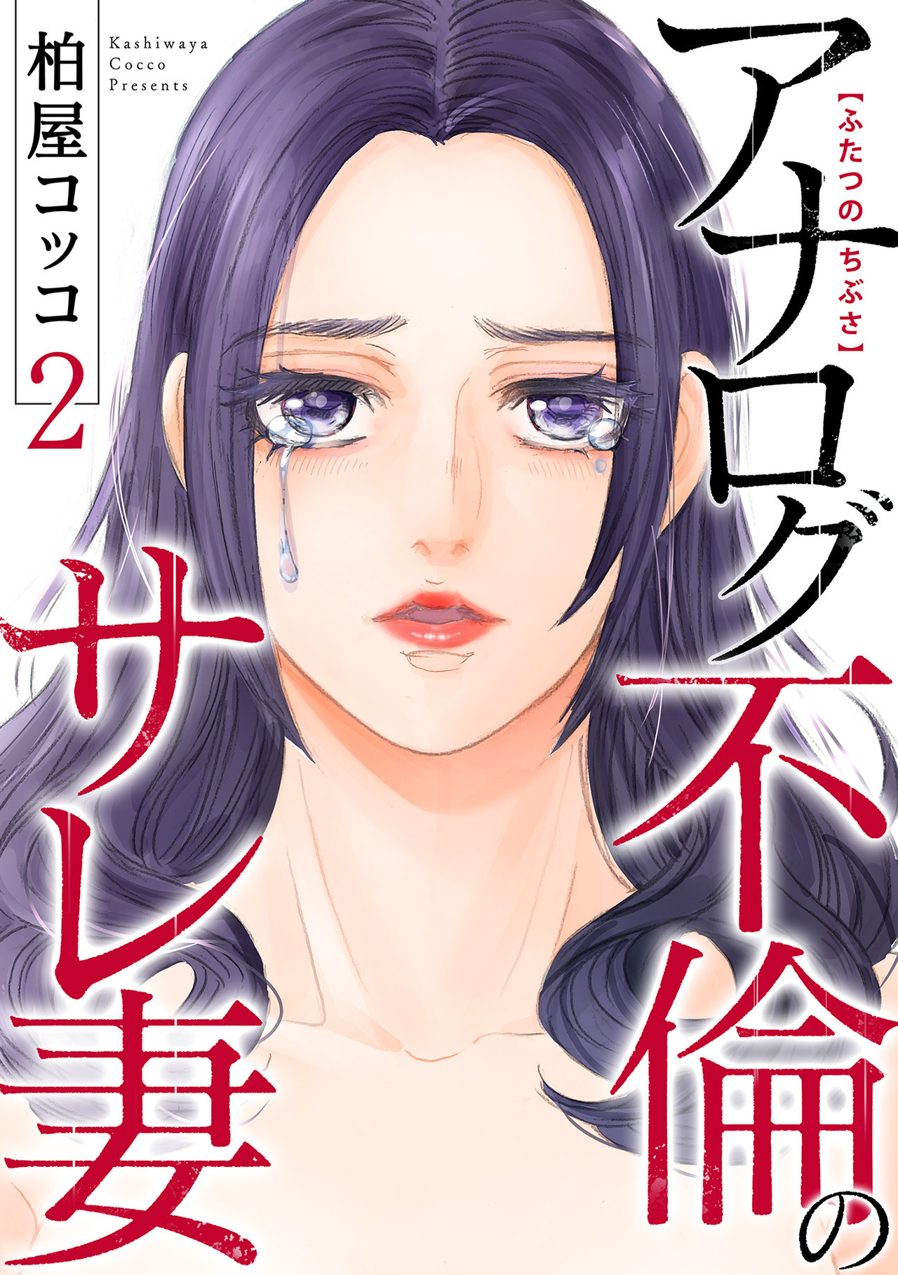 ふたつのちぶさ～アナログ不倫のサレ妻～(2)