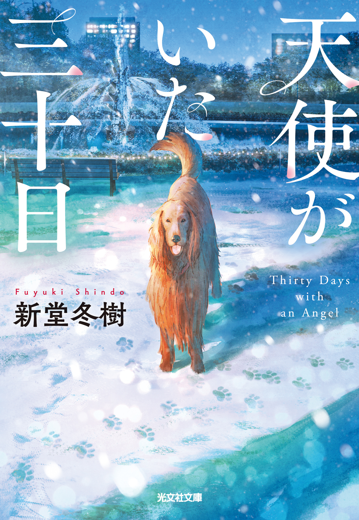 天使がいた三十日