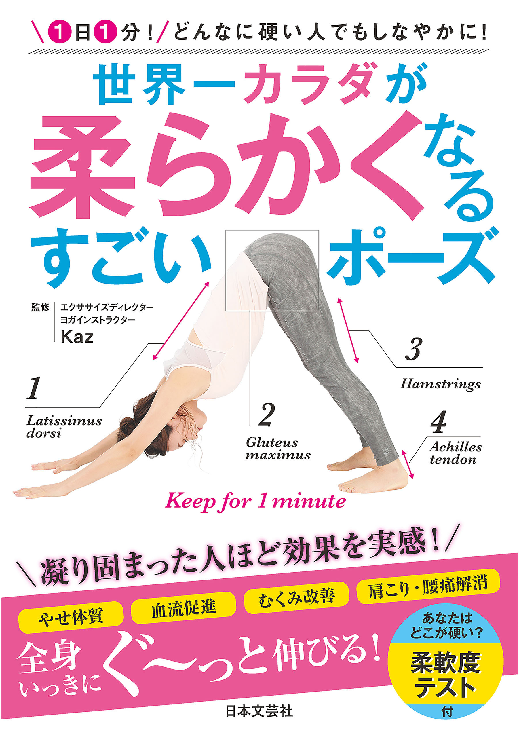 世界一カラダが柔らかくなる すごいポーズ