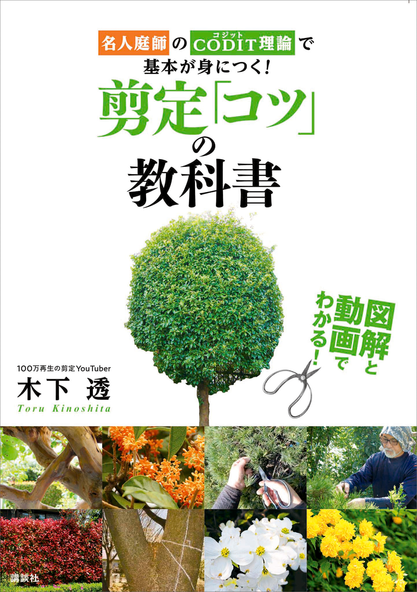 図解と動画でわかる！　剪定「コツ」の教科書　名人庭師のＣＯＤＩＴ理論で基本が身につく！