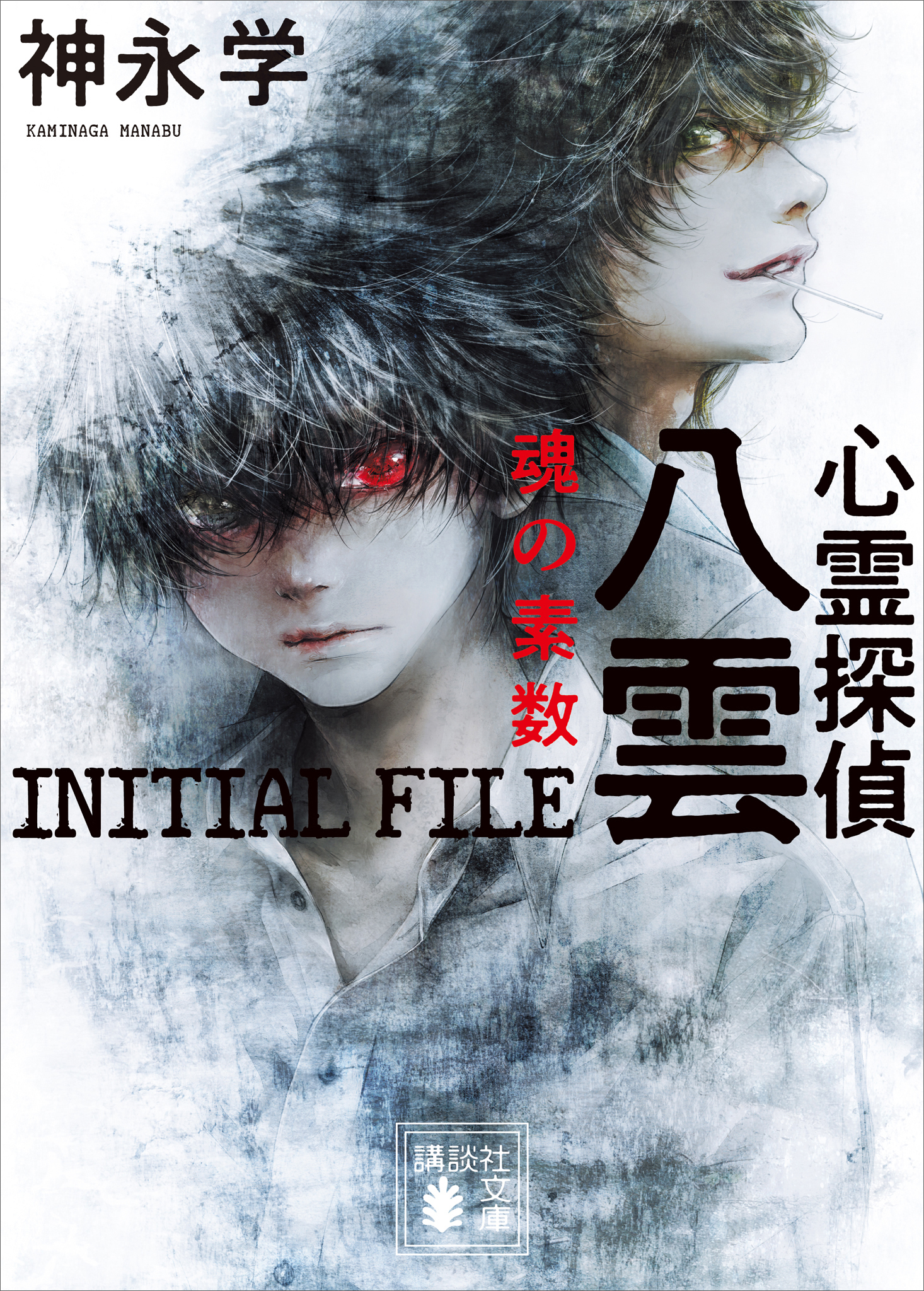心霊探偵八雲　ＩＮＩＴＩＡＬ　ＦＩＬＥ　魂の素数