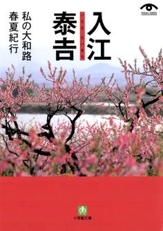 入江泰吉 私の大和路春夏紀行(小学館文庫)