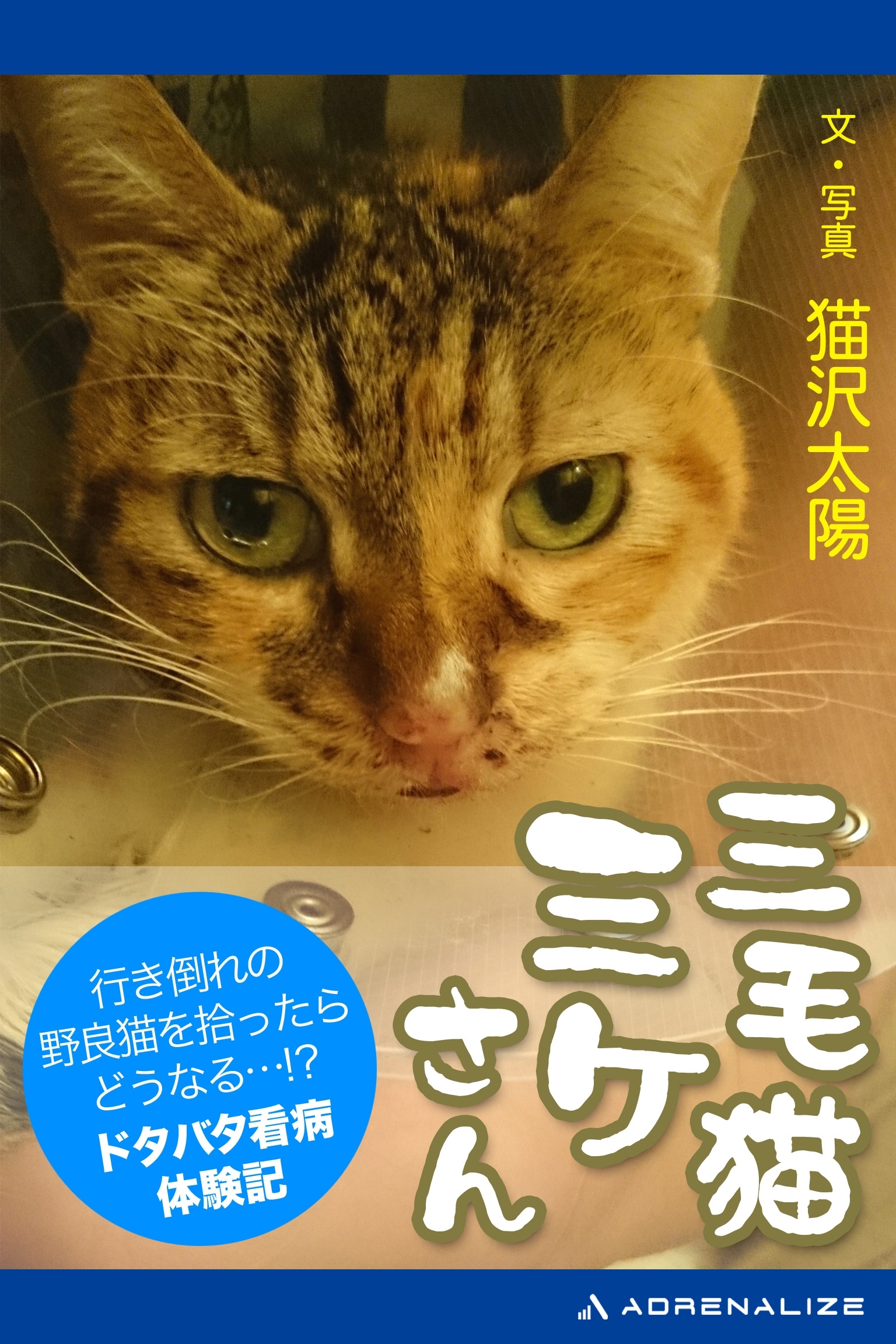 三毛猫ミケさん