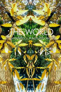 ：THE WORLD - 「symmetry」#Autumn leaves