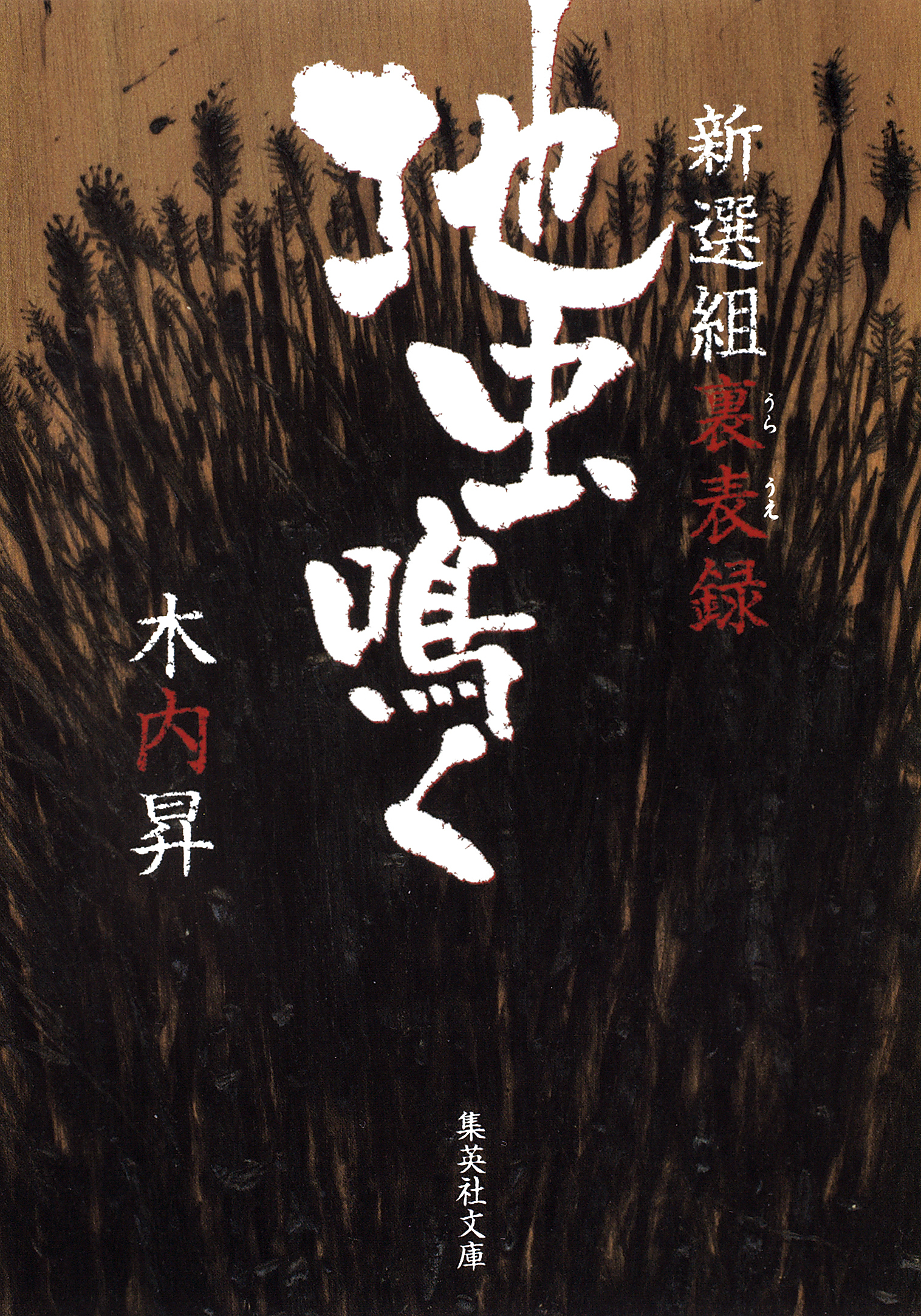 新選組裏表録　地虫鳴く