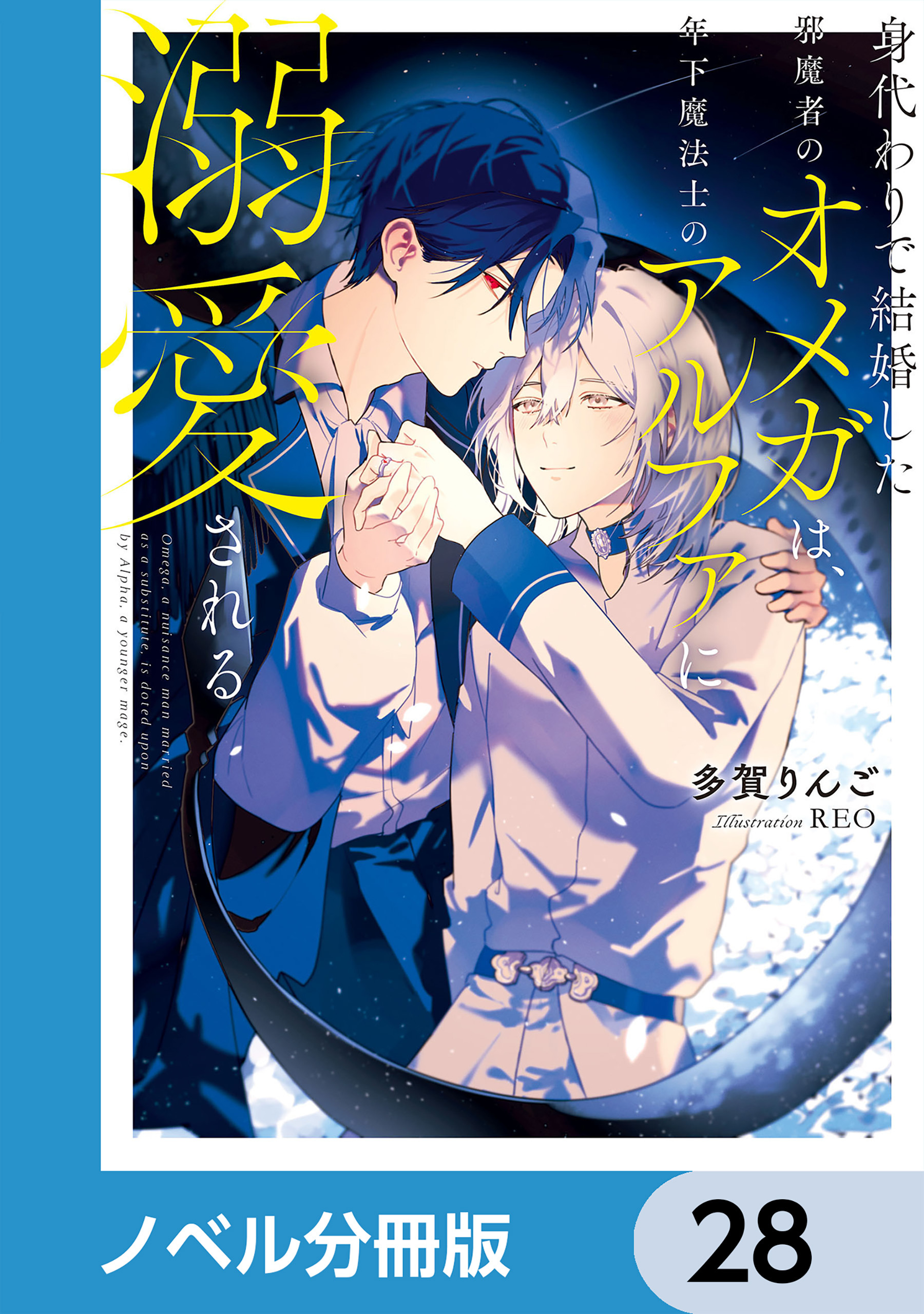 身代わりで結婚した邪魔者のオメガは、年下魔法士のアルファに溺愛される【ノベル分冊版】　28