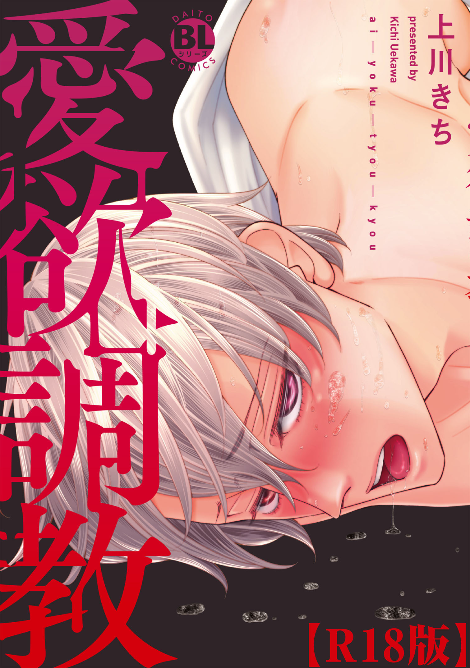 愛欲調教R18版【電子単行本版限定カバー特典付】