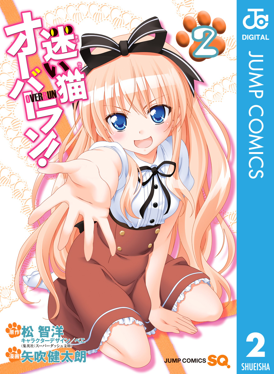 迷い猫オーバーラン！