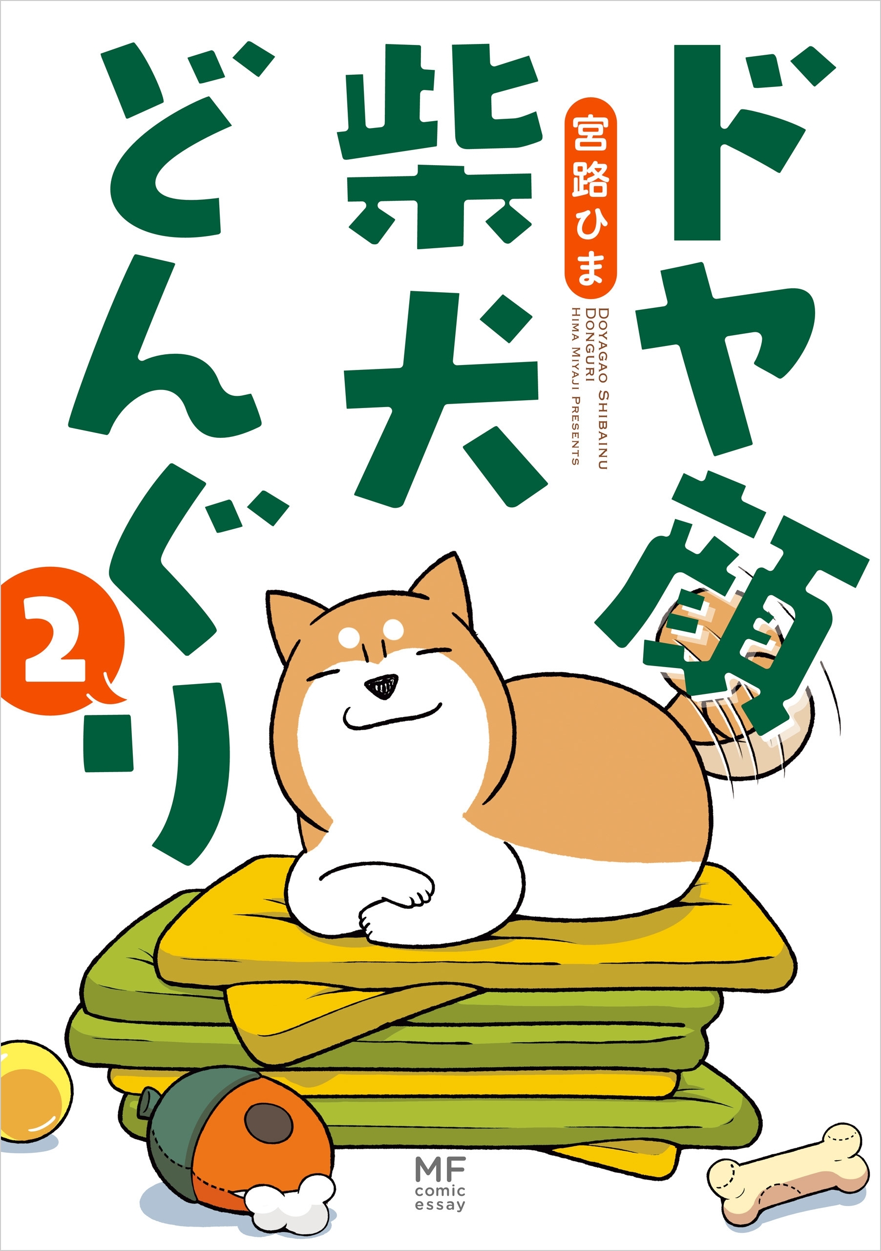 ドヤ顔柴犬どんぐり