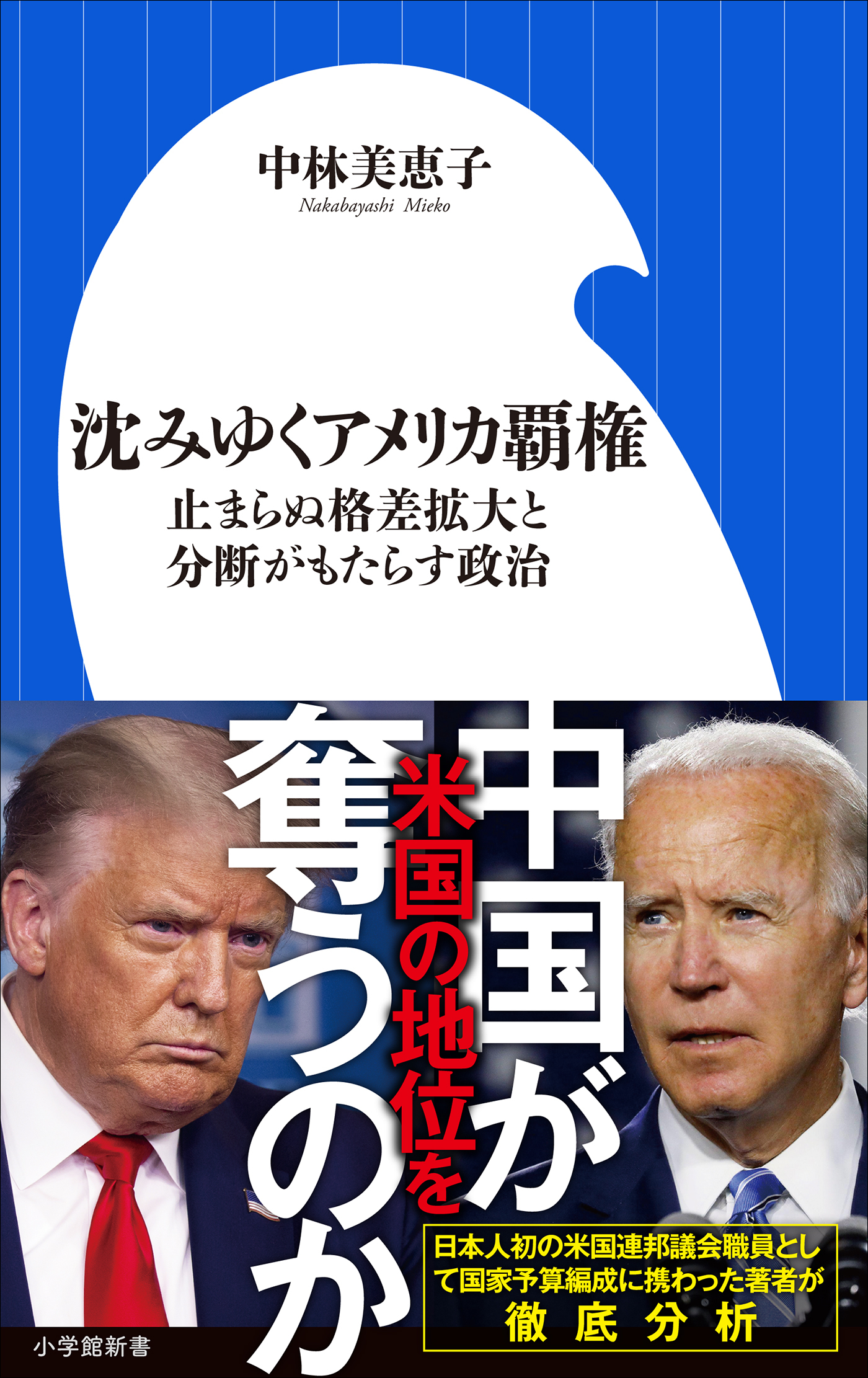 沈みゆくアメリカ覇権　～止まらぬ格差拡大と分断がもたらす政治～（小学館新書）