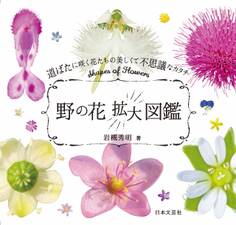 野の花拡大図鑑